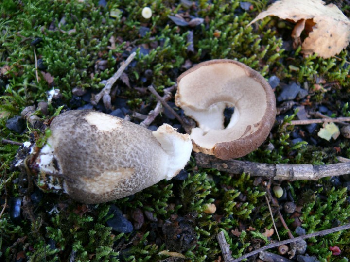 16oct046.jpg