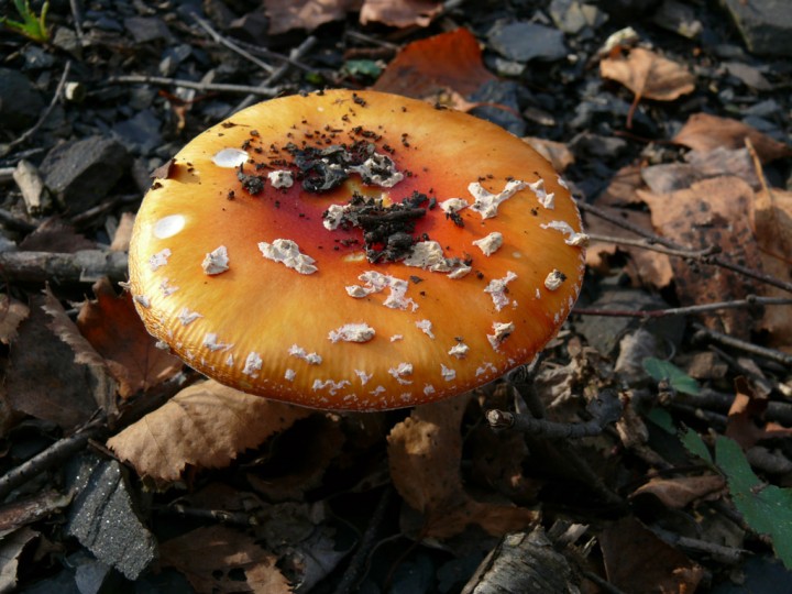 16oct227.jpg