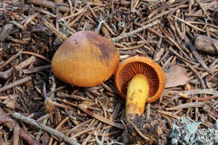 Copie de IMG_3963.JPG