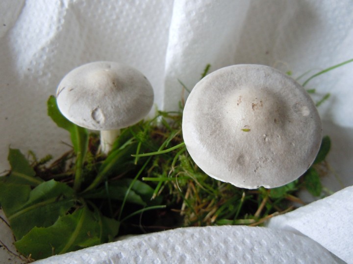 DSCN9370.jpg