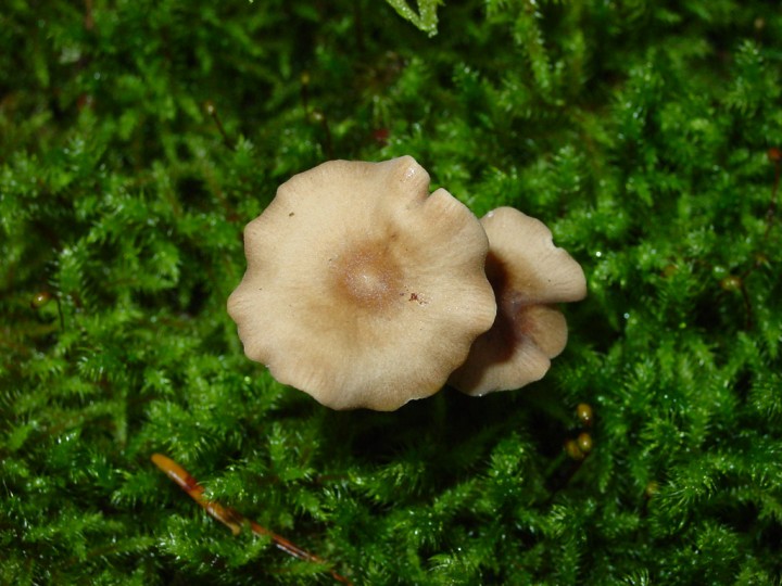 DSC02288.jpg