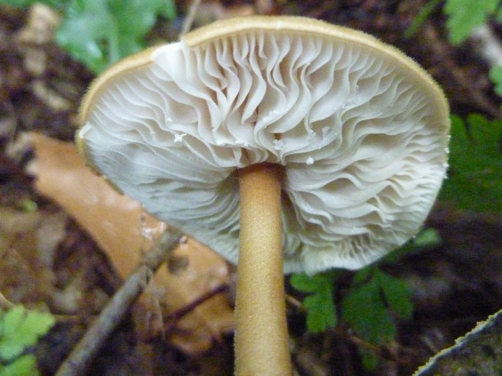 P1020124.jpg