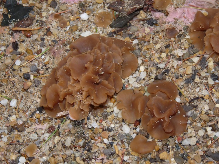 P1020187.jpg