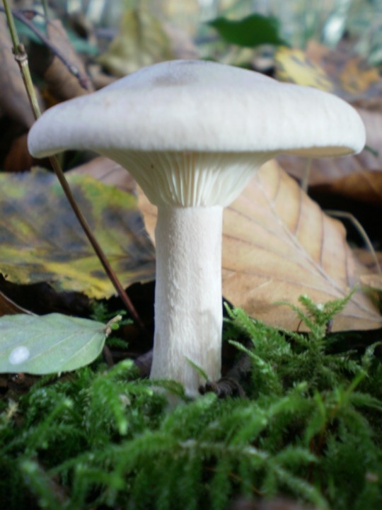 PA310121.JPG