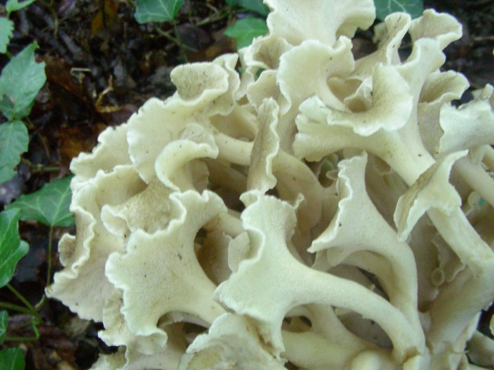 DSCN2148.JPG