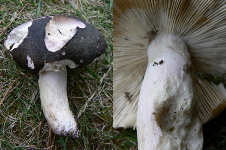 P1100070.jpg