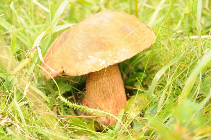 DSC_9672.JPG