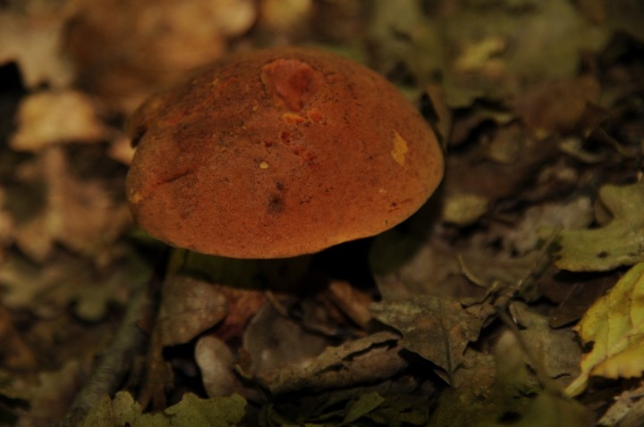 DSC_9591.JPG