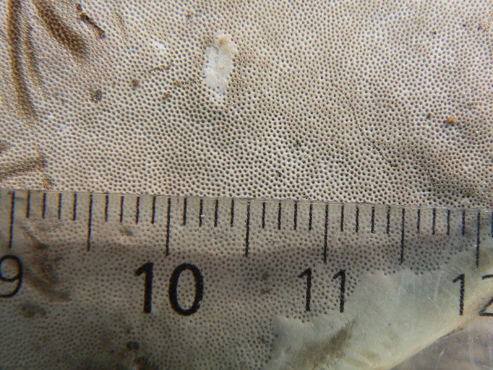 P1220361.jpg