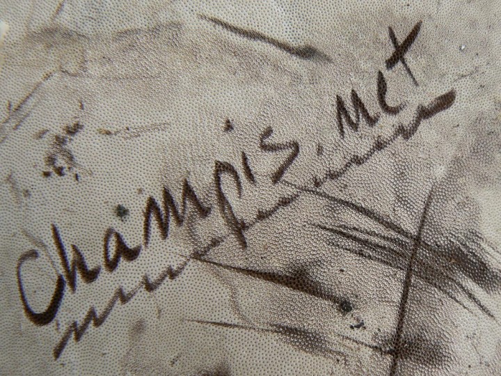 P1220355.jpg