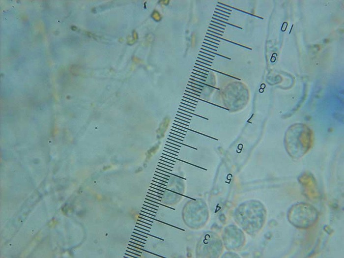 DSCN1930.JPG