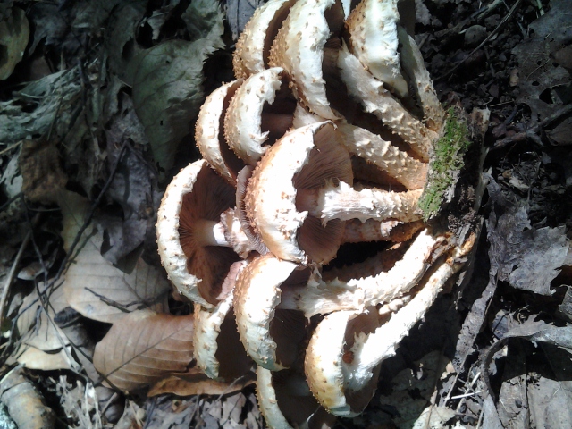 20120826_142026.jpg