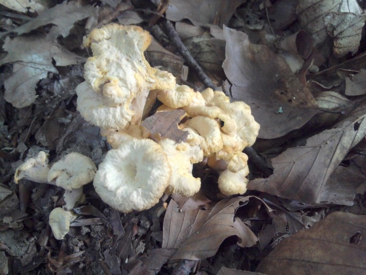2010-09-04 09.33.49.jpg