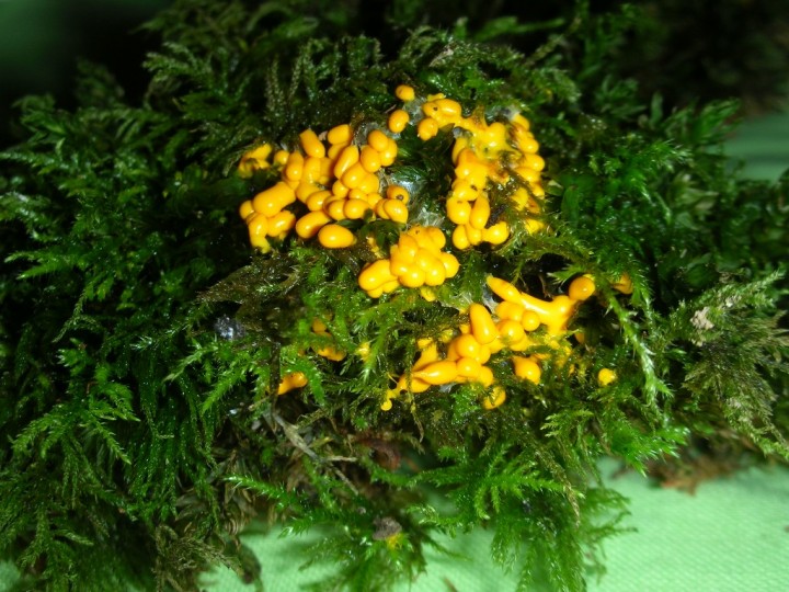 DSCN3084.JPG