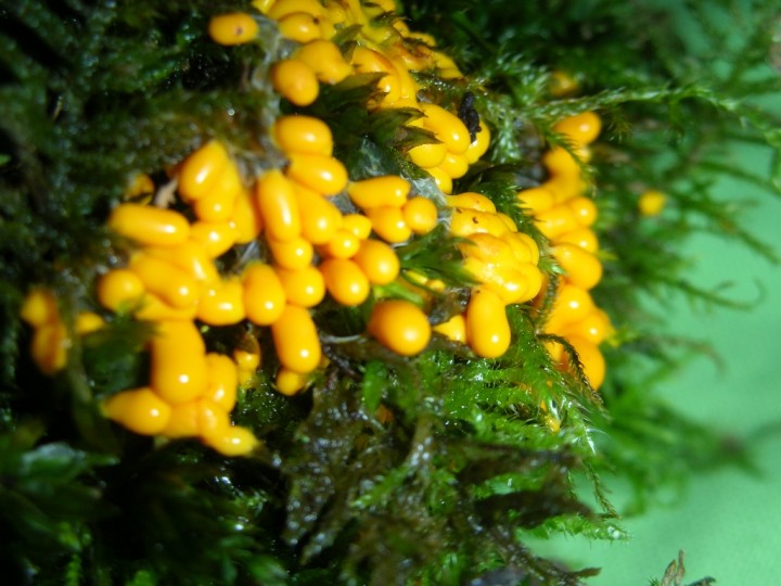 DSCN3085.JPG