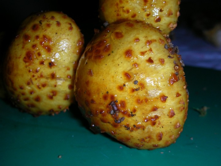 DSCN3109.JPG