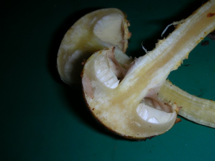DSCN3111.JPG