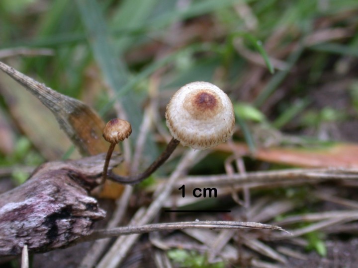 DSCN1647 copie.jpg