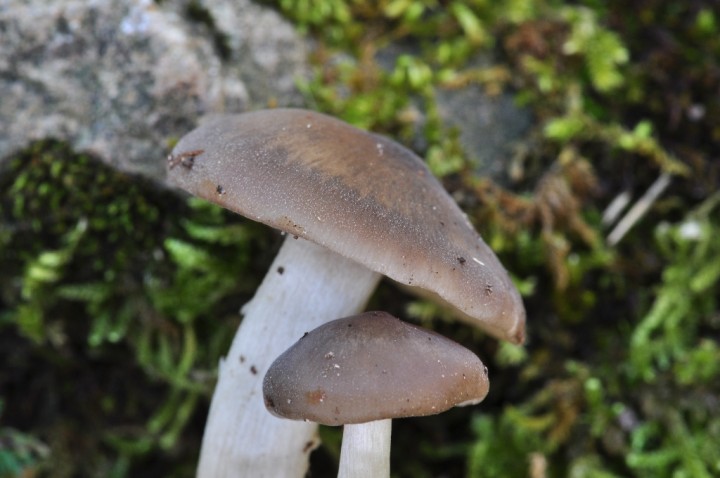 DSC_8021.JPG