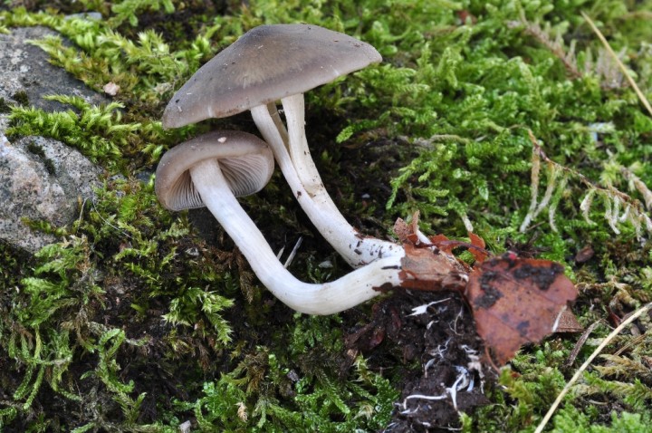 DSC_8023.JPG