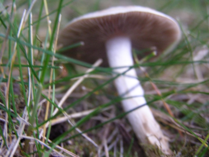 P9290692.JPG