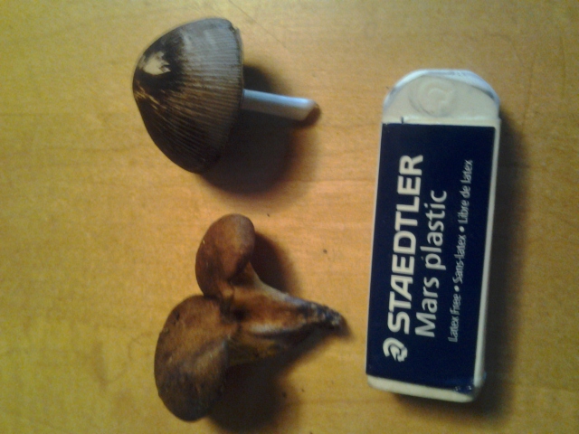 20120916_171051.jpg