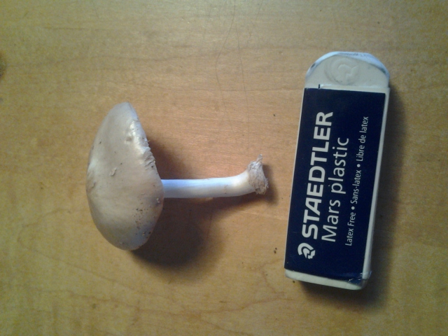20120916_171111.jpg
