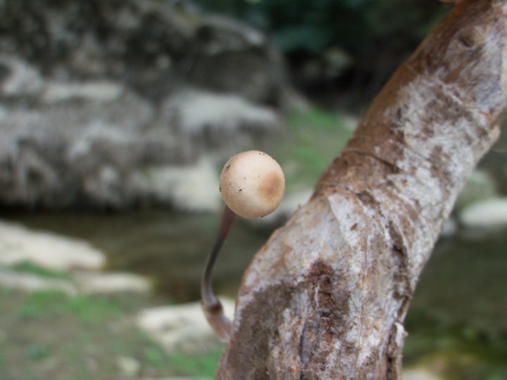 100_4035.JPG