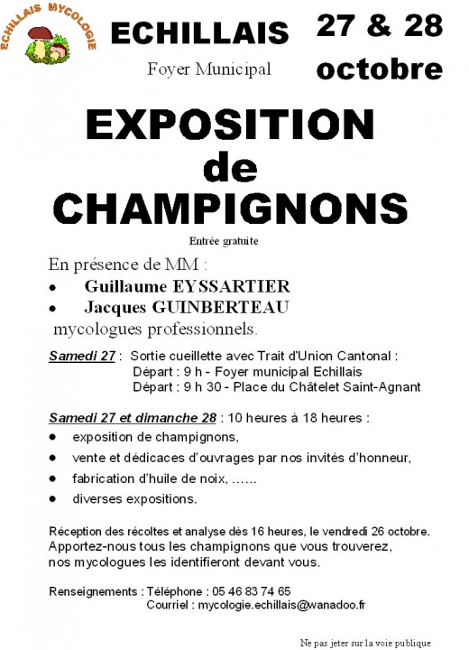 Aff Champi 2012.JPG