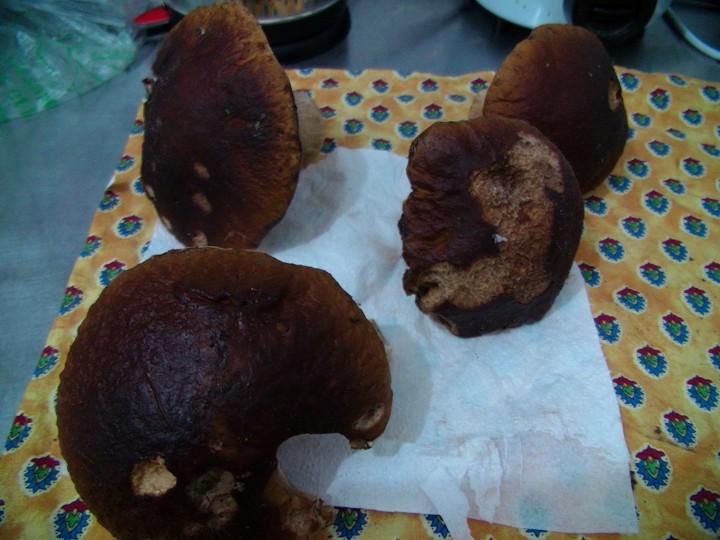 PIC_0854 - Copy.JPG