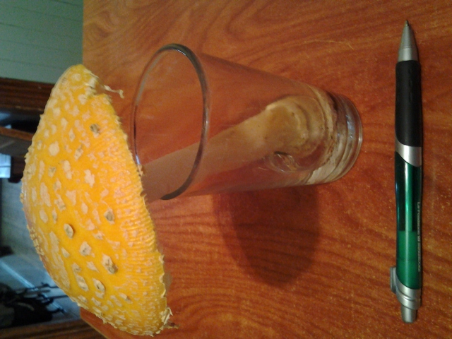 20121007_124118.jpg