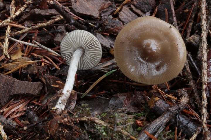 Copie de IMG_5108.JPG