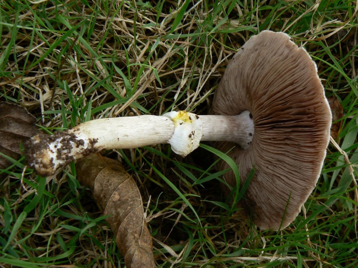 P1230621.jpg