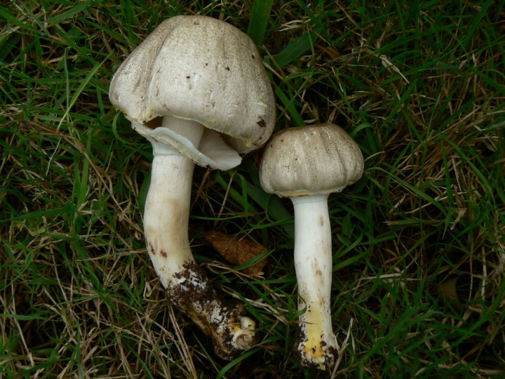P1230631.jpg