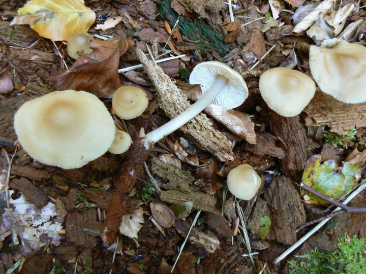 P1230331.jpg