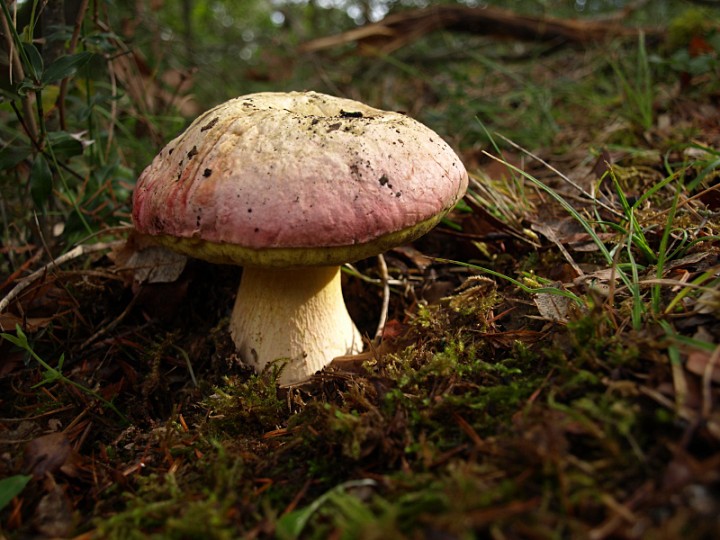 PA211006.jpg
