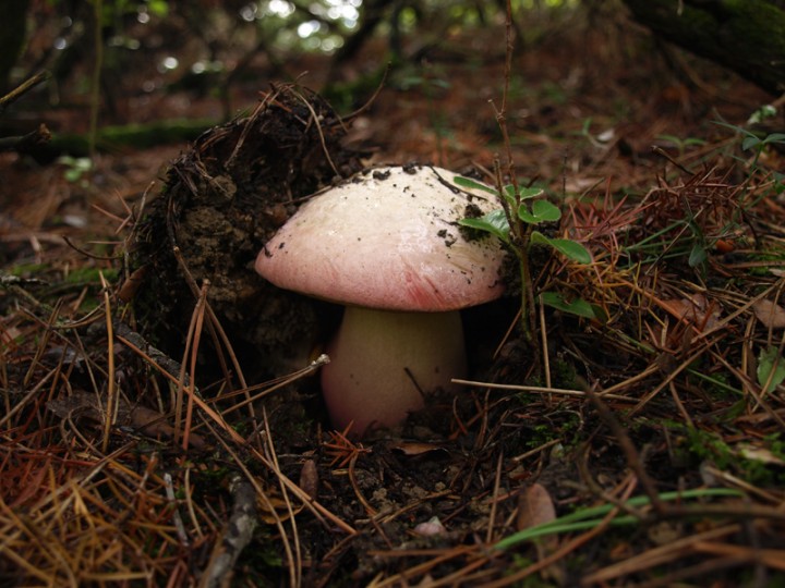 PA211024.jpg