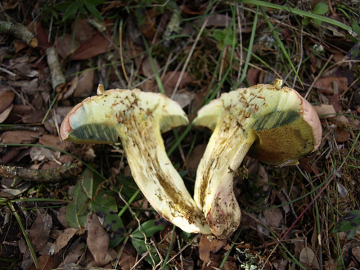PA211029.jpg