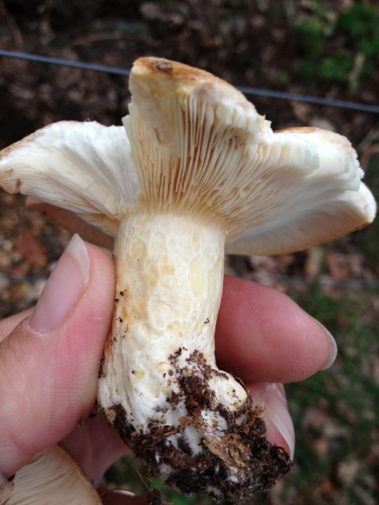 photo_2.JPG