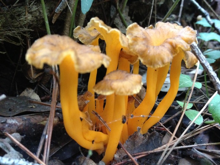 photo_2.JPG