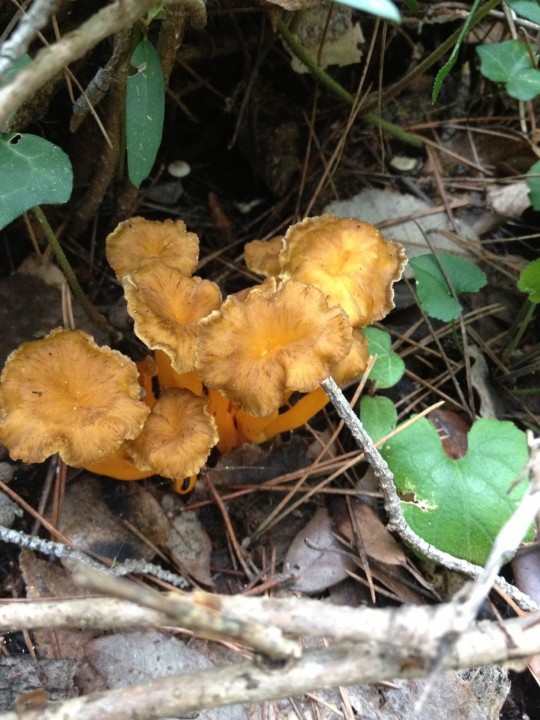 photo_1.JPG