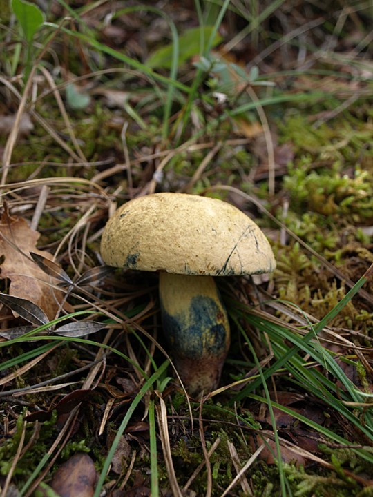 PA211026.jpg