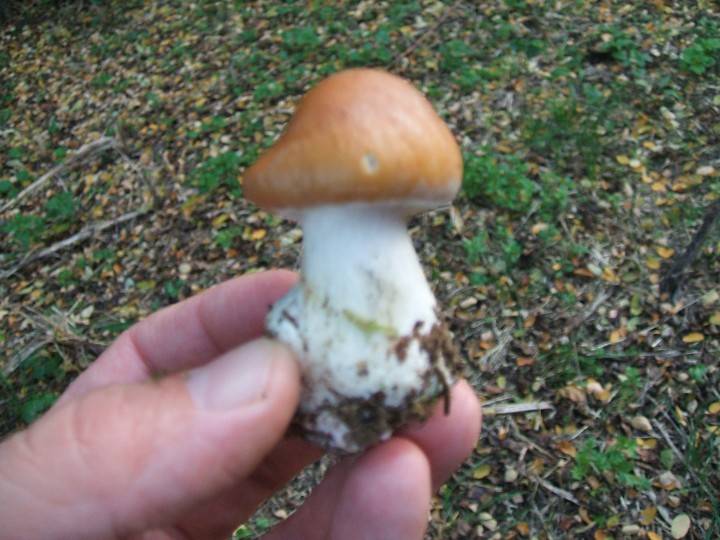 DSCF2127.JPG