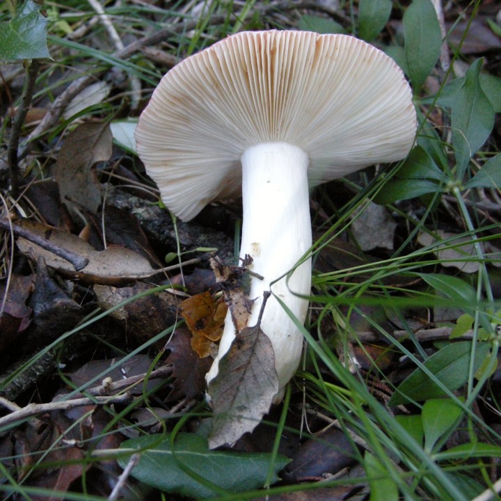 20120541.jpg