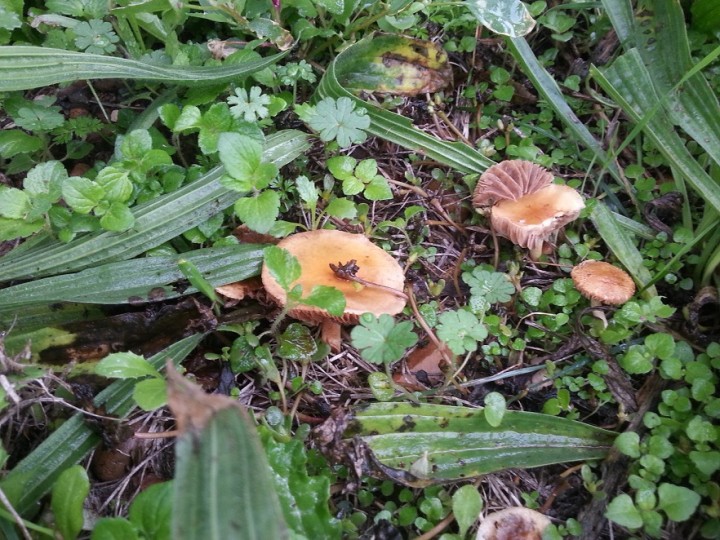 20121110_095600.jpg