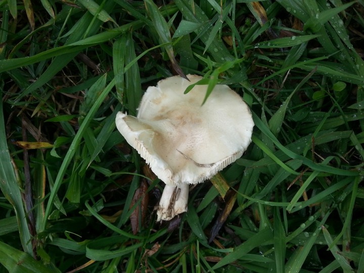 20121110_095728.jpg
