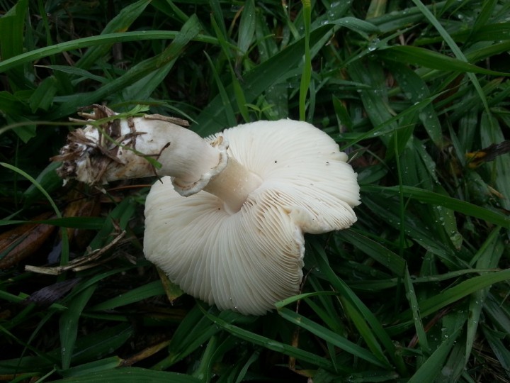 20121110_095715.jpg