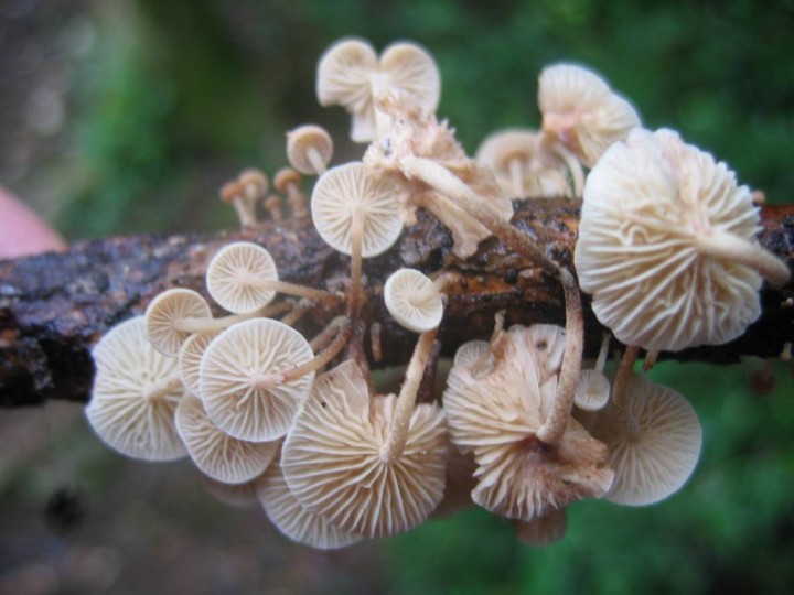 photos mai 2007 186-redim1024.jpg