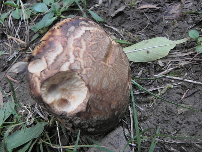 DSCN1663b.JPG