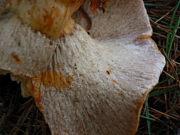 P1210253.jpg